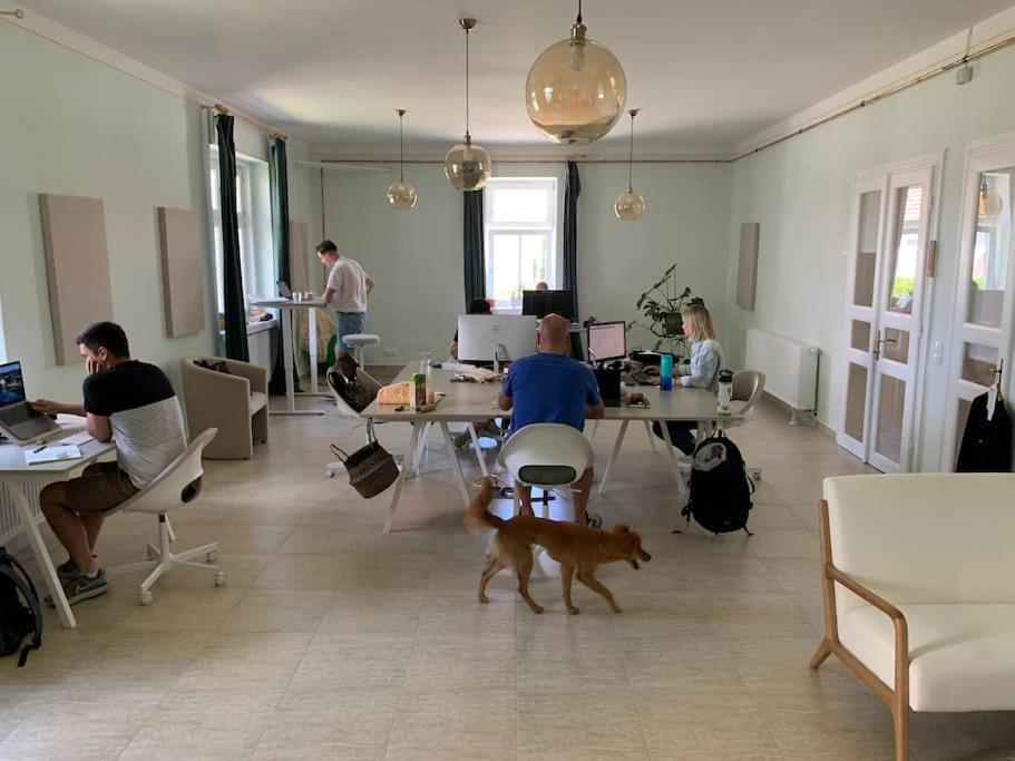 Parokia Apartman Es Coworking A Balaton Mellett Kaptalantoti Buitenkant foto